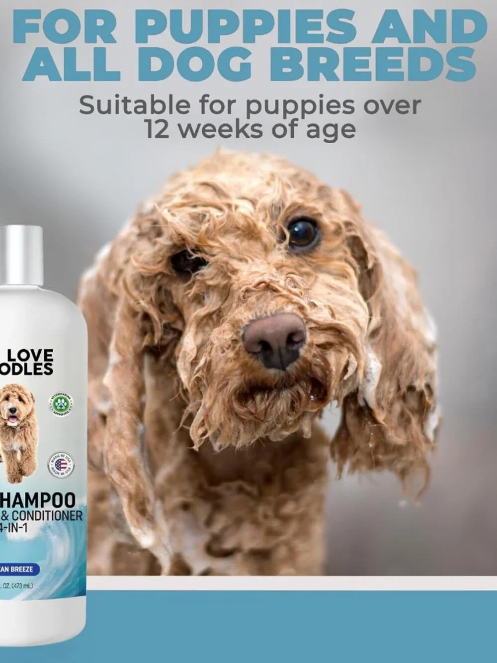 4-IN-1 DOG SHAMPOO: Effectively cleans, conditions, detangles, and moisturizes